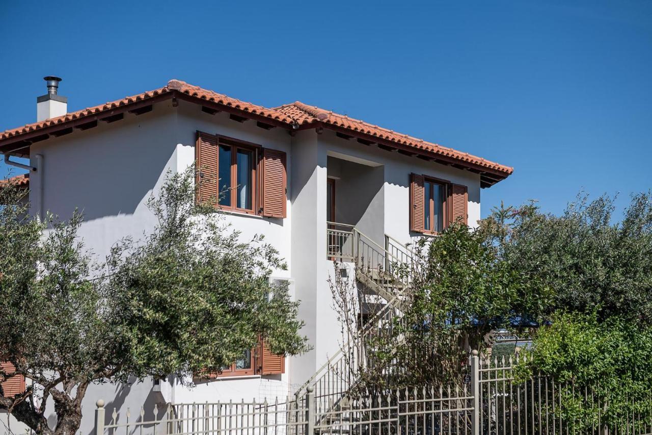 Andromia Studios & Apartments Agia Marina Екстериор снимка