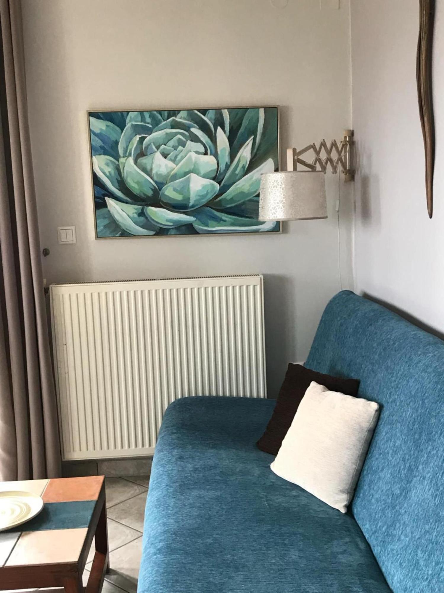Andromia Studios & Apartments Agia Marina Екстериор снимка